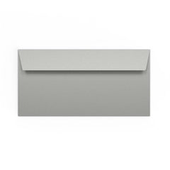 DL Silver Peel & Seal Coloured Envelope (110 x 220mm)